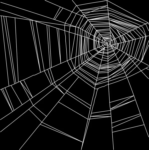 White spider web isolated on the  black background — Stock Vector