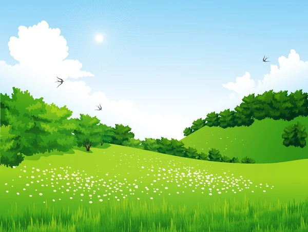 Paisaje verde con árboles, nubes, flores — Vector de stock