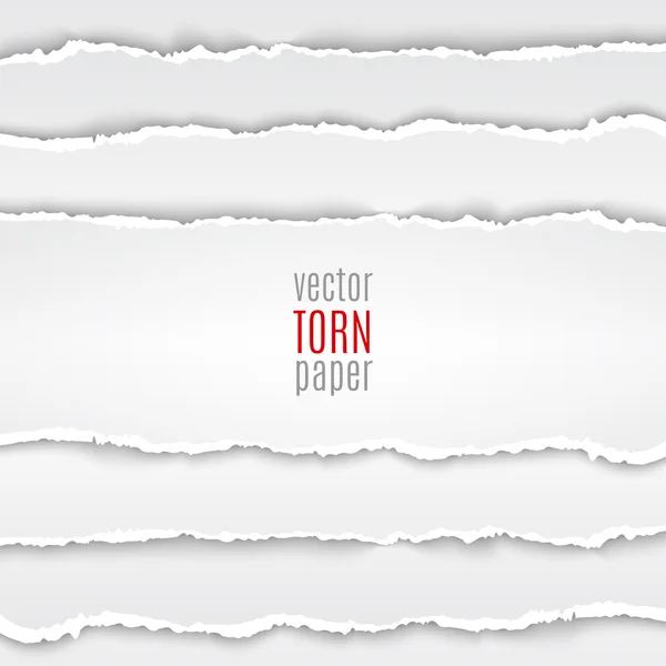 White torn paper — Stock Vector