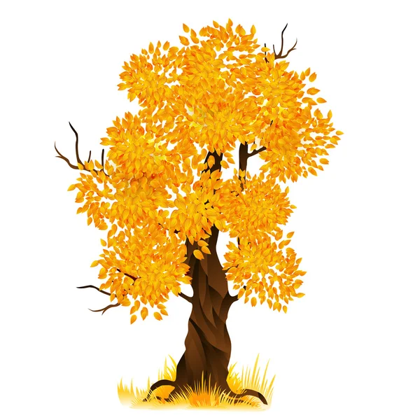 Vetor árvore de outono isolado em branco, ilustração vetorial — Vetor de Stock