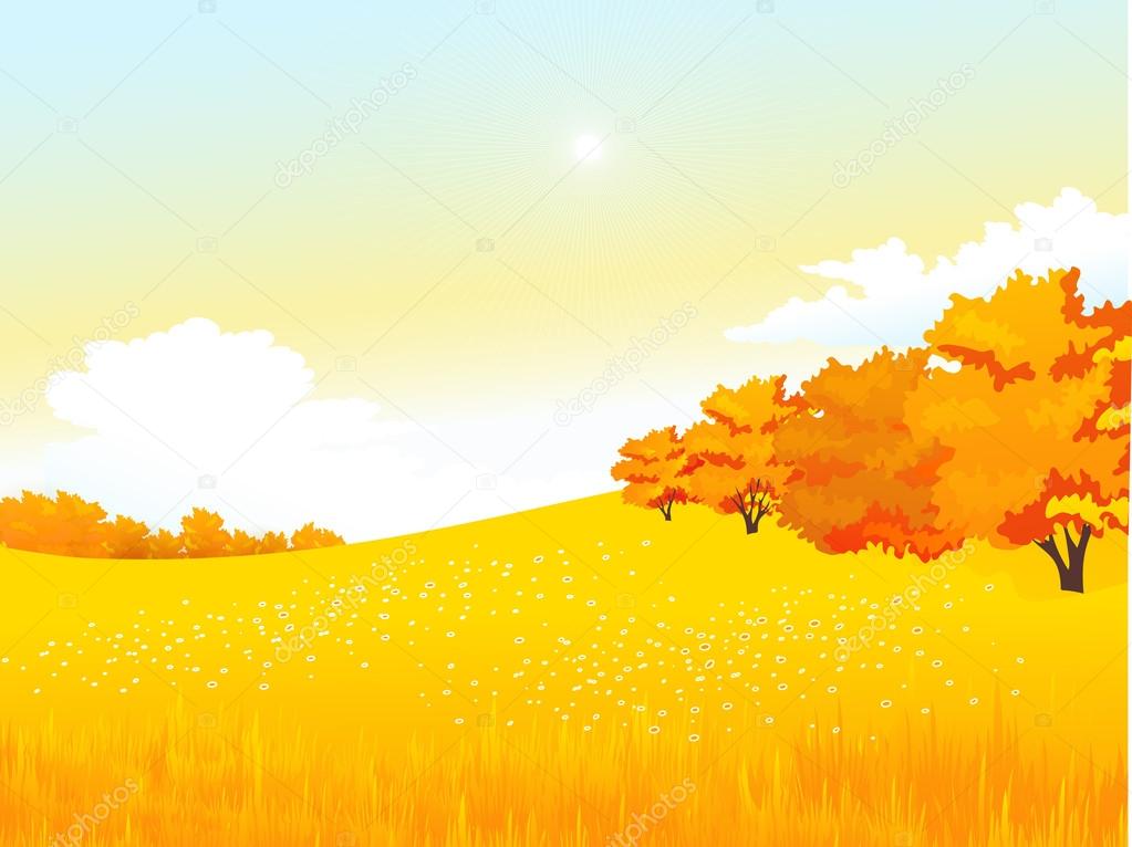 Vector autumn rural landscape with meadow and forest