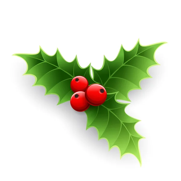 Kerstmis holly berry. — Stockvector