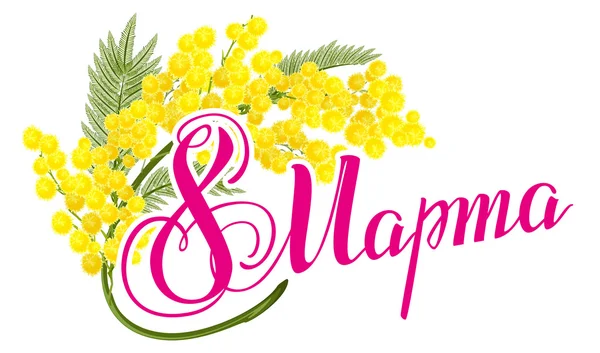 8 de marzo Texto en ruso. 8 de marzo Día Internacional de la Mujer. Flor mimosa amarilla. Mimosa símbolo de la flor del Día de la Mujer — Vector de stock