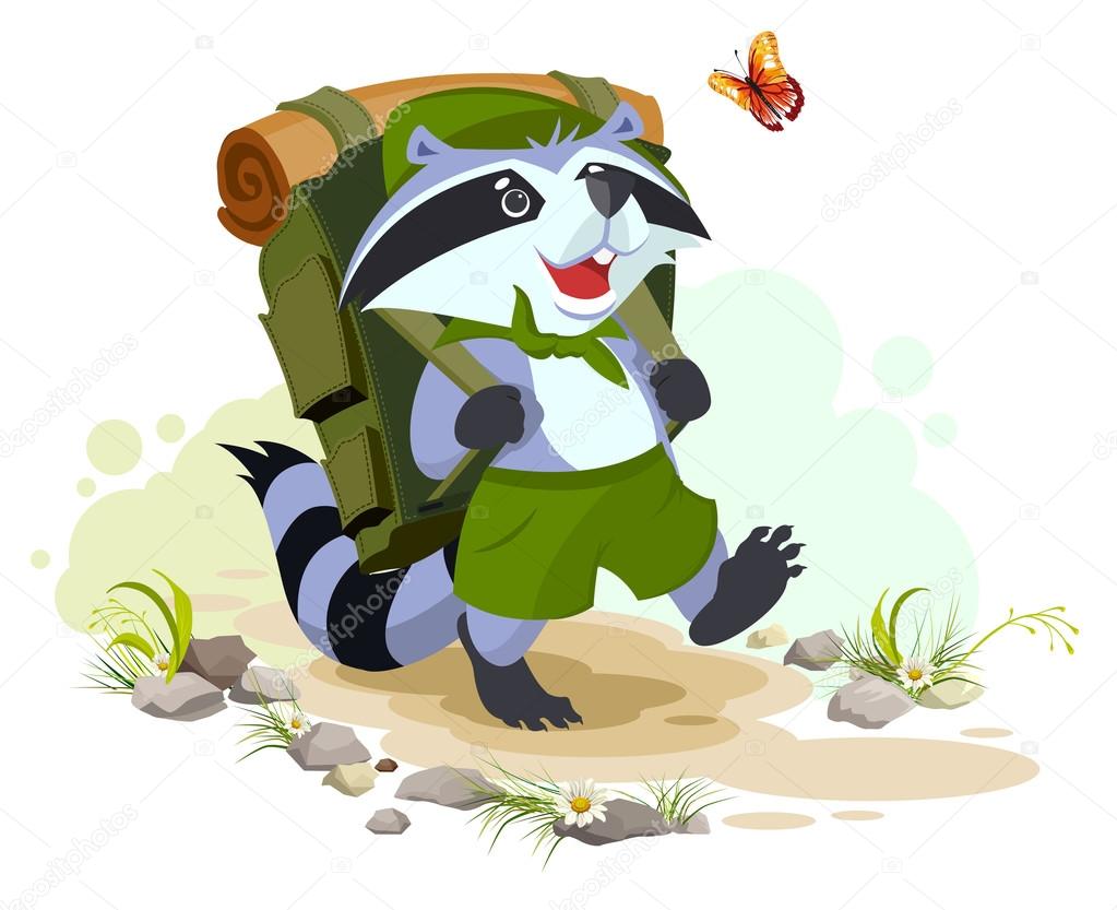 Scout raccoon with backpack goes camping. Summer Camping