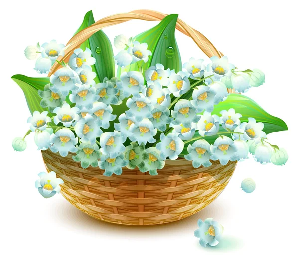 Wicker Basket of flowers. Flower lily valley. Bouquet lily of valley — Stock Vector