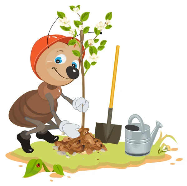 Mravenec zahradník výsadbu stromů. Sazenice ovocných stromů. Apple strom stromek — Stockový vektor