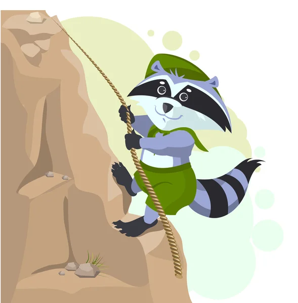 Climber descending rope. Scout raccoon climbs rock — Stock Vector