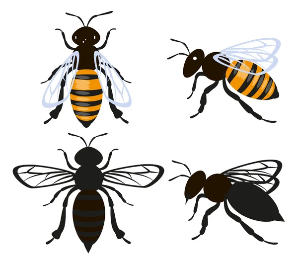 Set bee insect — Stock Vector