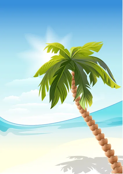 Palmera en la playa. Playa de arena blanca — Vector de stock