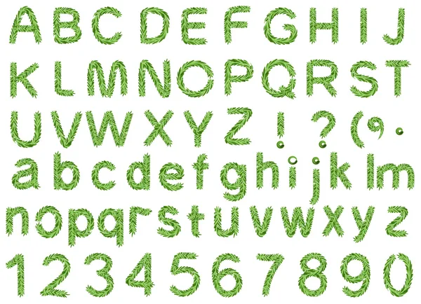Alfabeto de abeto isolado sobre fundo branco. Ramo de abeto de letra e número de pinheiro — Vetor de Stock