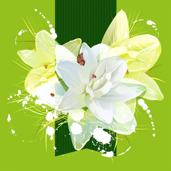 Flor lirio blanco para tarjeta de felicitación — Vector de stock