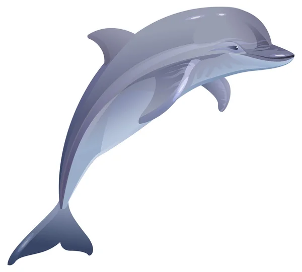 Marina däggdjur dolphin — Stock vektor