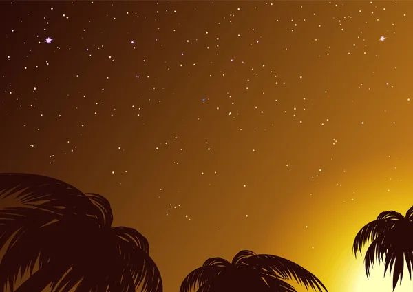 熱帯ヤシの木に囲まれた星空 — ストックベクタ