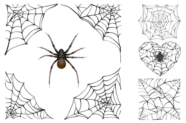 Web και δηλητηριώδη αράχνη. Σετ Αξεσουάρ Απόκριες — Διανυσματικό Αρχείο