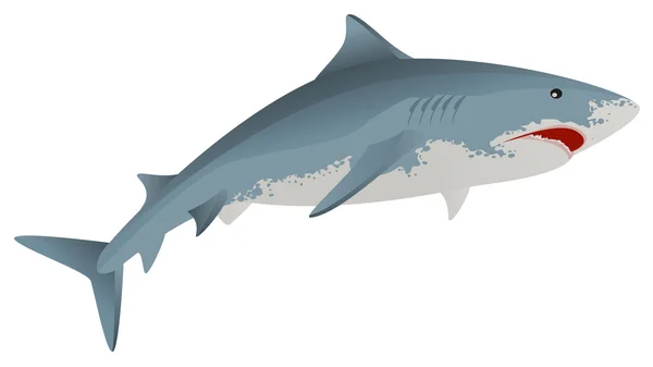 Grande tubarão branco predador marinho — Vetor de Stock
