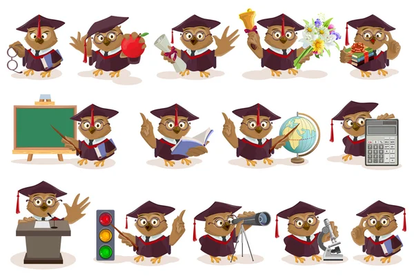 Büyük set baykuş öğretmen