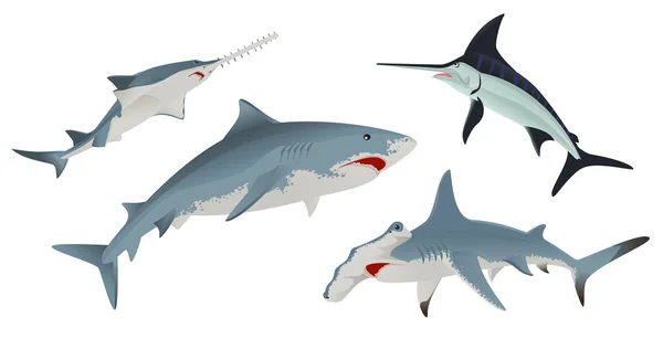 Conjunto de peces animales marinos — Archivo Imágenes Vectoriales