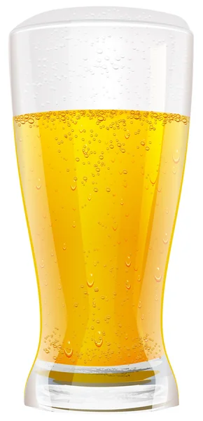 Lager beer in glass — Stock Vector