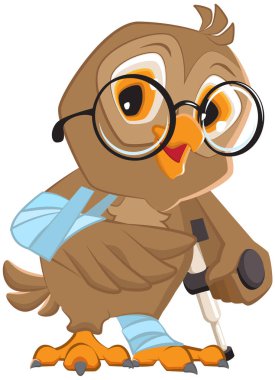 Kırık kanadı ve bacağı olan bir baykuş. Yaralılar için yürüyen koltuk değneği