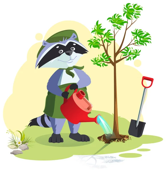 Scout planting and watering tree. Boy scout raccoon care for nature — Stock Vector