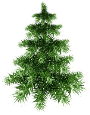 Kabarık yeşil Noel ağacı