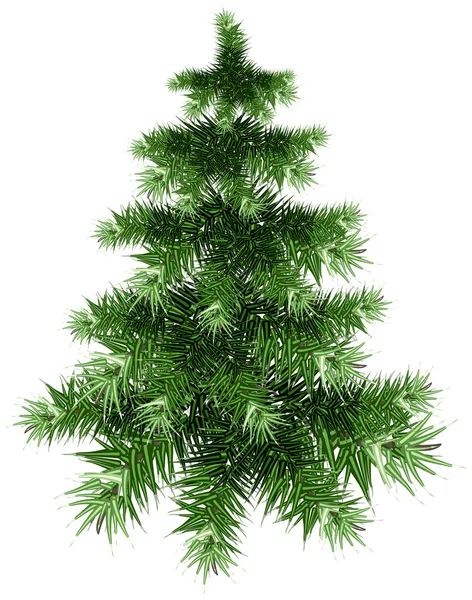 Pluizig groene kerstboom — Stockvector