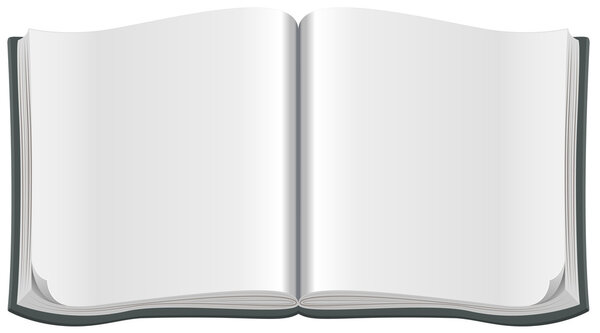 Открытый журнал с чистым бланковым листом
