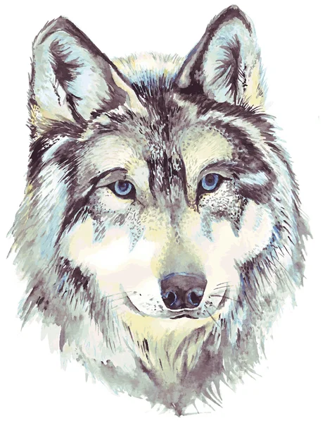 Wolf head profile — Stock Vector