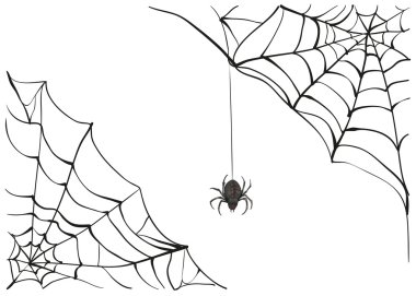 SpiderWeb. Büyük siyah örümcek ağı. Siyah korkunç örümcek Web. Zehirli örümcek