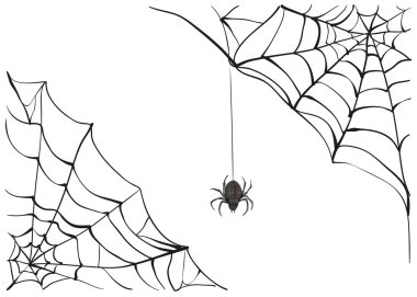 Spiderweb. Big black spider web. Black scary spider of web. Poison spider clipart