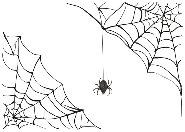 Telaraña. Gran telaraña negra. Araña negra de telaraña. Araña venenosa — Vector de stock