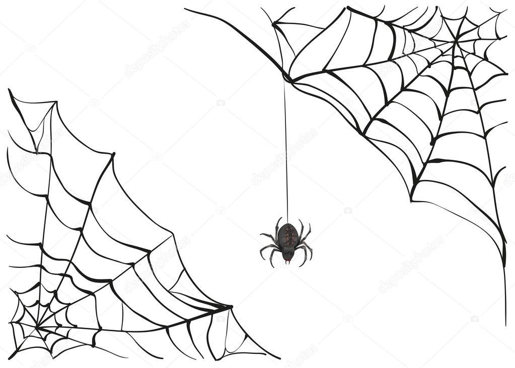 Spiderweb. Big black spider web. Black scary spider of web. Poison spider