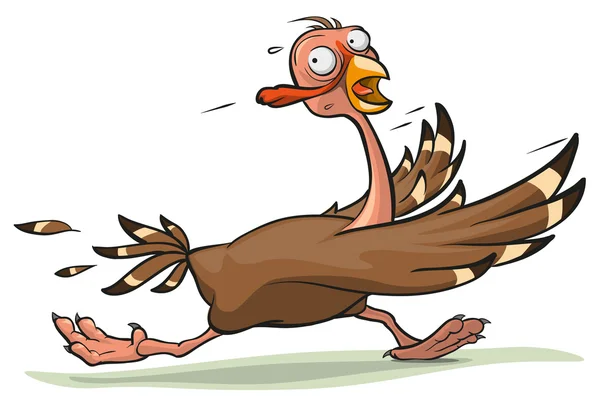 El pavo de Acción de Gracias corre — Vector de stock