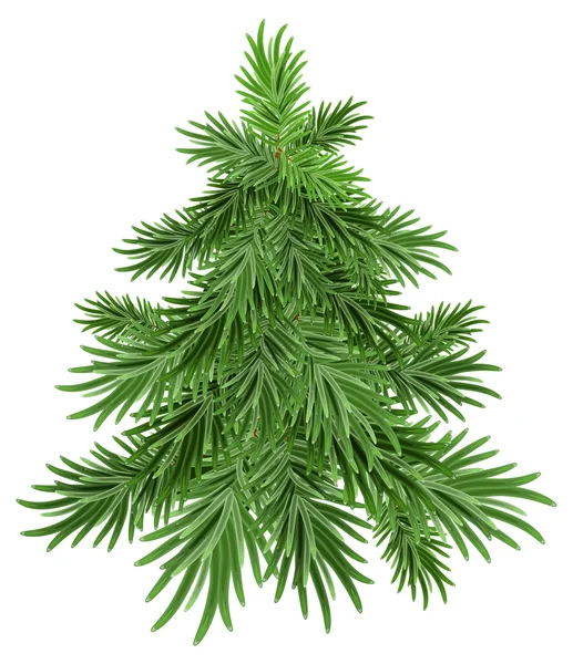 Groene dennenboom — Stockvector