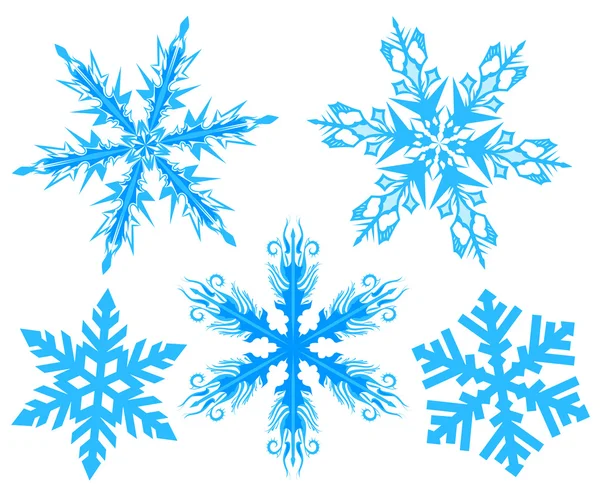 Set Snowflake. Flake of snow — Stock Vector