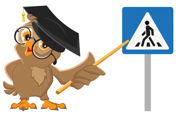 Baykuş öğretmen yaya geçidi işaretleri gösteriyor. Trafik yasaları eğitim — Stok Vektör