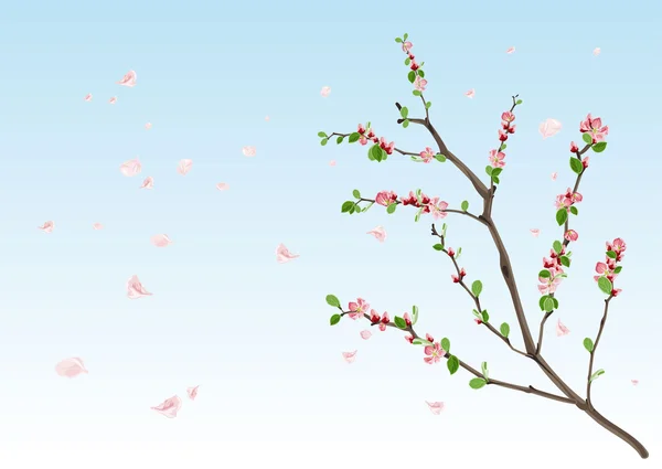 Temporada de primavera. Rama floreciente con hojas nuevas — Archivo Imágenes Vectoriales