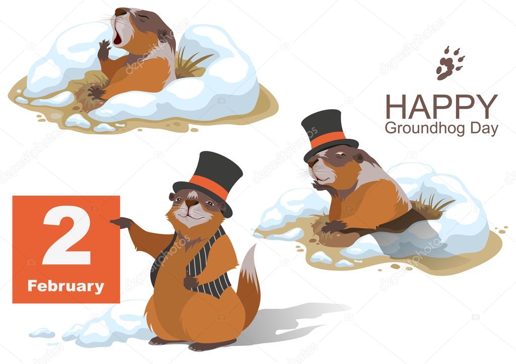 Happy Groundhog Day. Marmot holding February 2