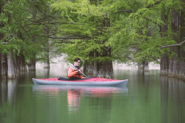 Kayak en el bosque inundado . — Foto de Stock