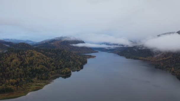 Aerial View Teletskoye Lake Altai Mountains Siberia Russia Panoramic Drone — Stock Video