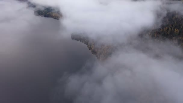 Flygfoto Teletskoye Lake Altai Bergen Sibirien Ryssland Skönhet Panoramadrönare Skott — Stockvideo