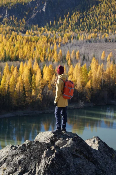 Resenär Står Klippan Och Tittar Den Gyllene Hösten Altai Bergen — Stockfoto