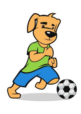  köpek yavrusu katılmak bir futbol oyunu