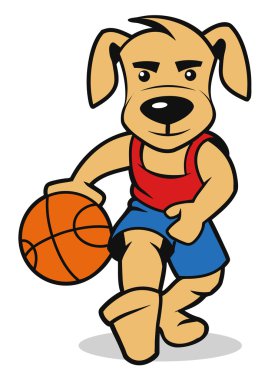 Basketbol oynayan köpek