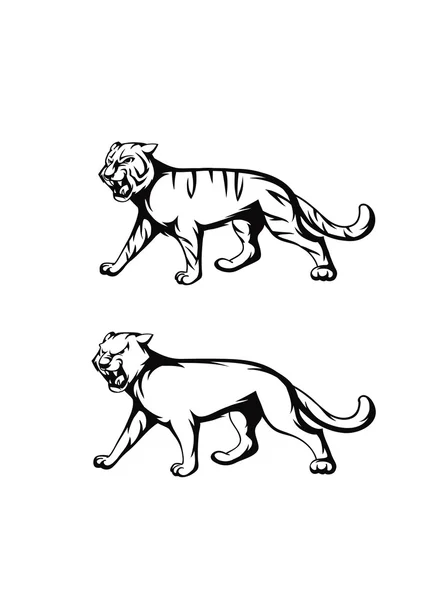 Тигр и пантера — стоковый вектор