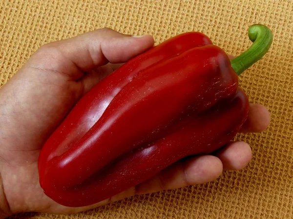 Roter Paprika — Stockfoto