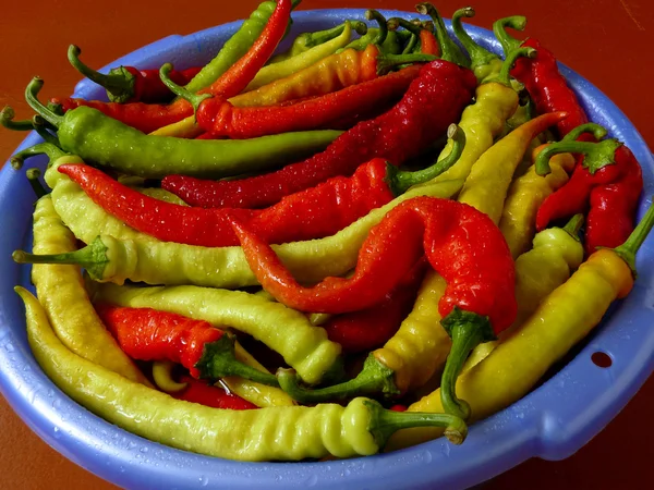 Hot chili peppers — Stock Photo, Image