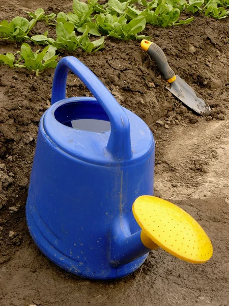 Watering can — Stock Photo, Image