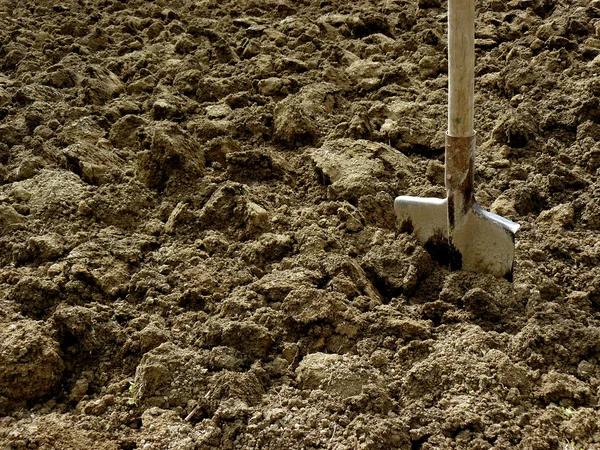 Shovel in the ground — Stock Photo, Image