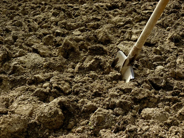 Shovel in the ground — Stock Photo, Image